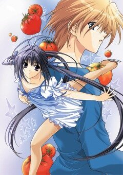 Фигурный калейдоскоп (2005) Фигурный калейдоскоп (2005)